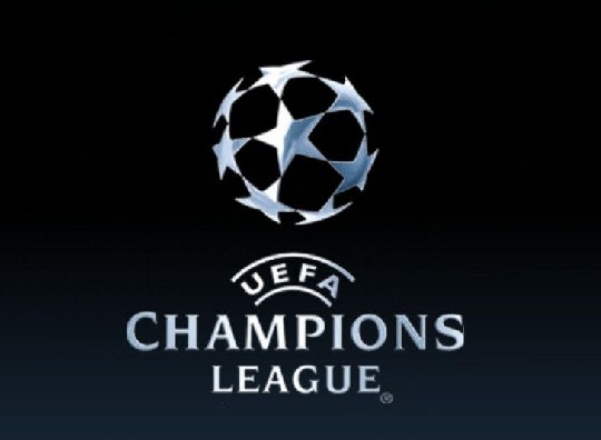 迅速引起了 迅速引起了